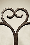 Wall_Art_Alphabet_Photography_Art_ 813
